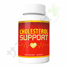 コレステロールサポート 60錠 1本 | (EyeFive)Cholesterol Support 60tablets one 120 錠